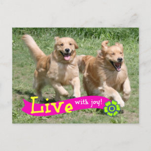 Golden Retriever Live With Joy Postkarte