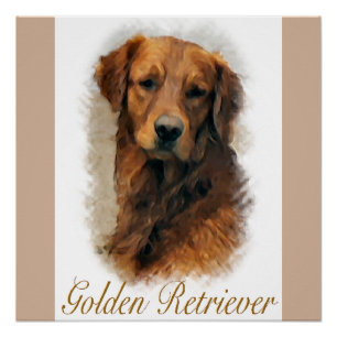 Golden Retriever Lovers Kunst und Kultur Poster