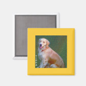 Golden Retriever Magnet (Vorderseite/Rückseite)