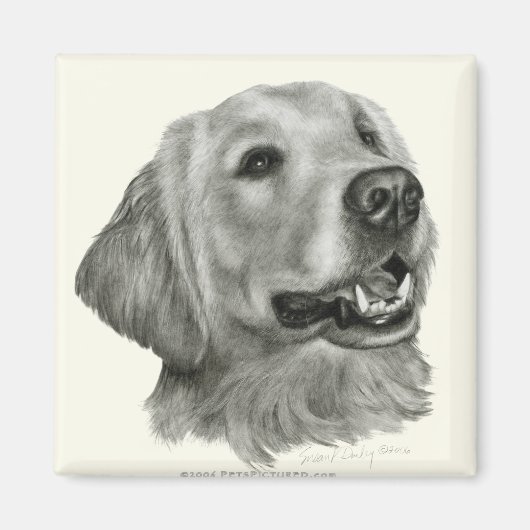 Golden Retriever Magnet (Vorne)