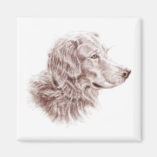 Golden Retriever Magnet (Vorne)