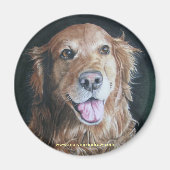 Golden Retriever Magnet (Vorne)