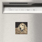 Golden Retriever Magnet - "Bär" (In Situ (Geschirrspüler))