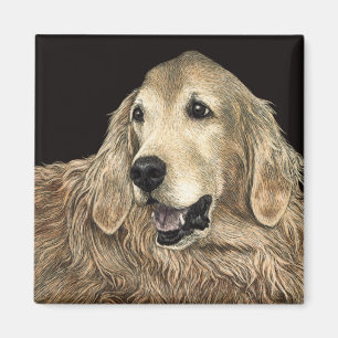 Golden retriever-Magnet - "Bär " Magnet