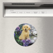 Golden Retriever Magnet Hydrangea (In Situ (Geschirrspüler))