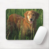 Golden retriever Maia im Gras Mousepad (Mit Mouse)
