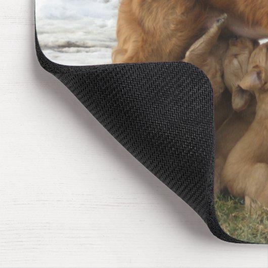 Golden retriever Maia und Welpen Mousepad (Ecke)