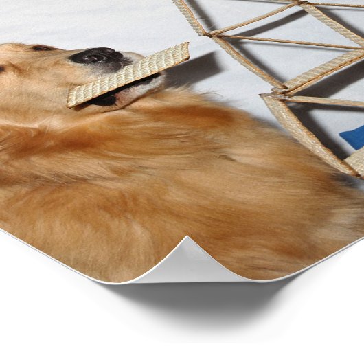 Golden Retriever Matzoh Fun Pessach Poster (Ecke)