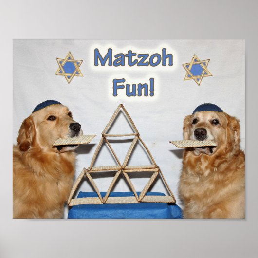 Golden Retriever Matzoh Fun Pessach Poster (Vorne)