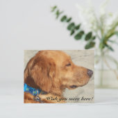 Golden Retriever Miss You Postcard Postkarte (Stehend Vorderseite)