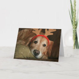 Golden Retriever Miss You Weihnachten
