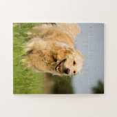 Golden Retriever mit Ball Puzzle (Horizontal)