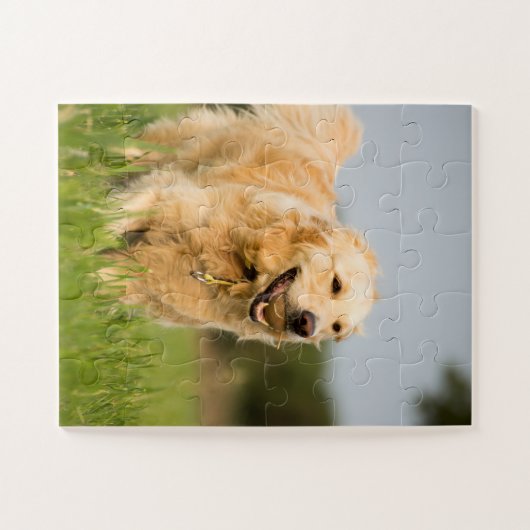 Golden Retriever mit Ball Puzzle (Horizontal)