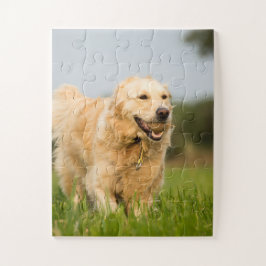 Golden Retriever mit Ball Puzzle