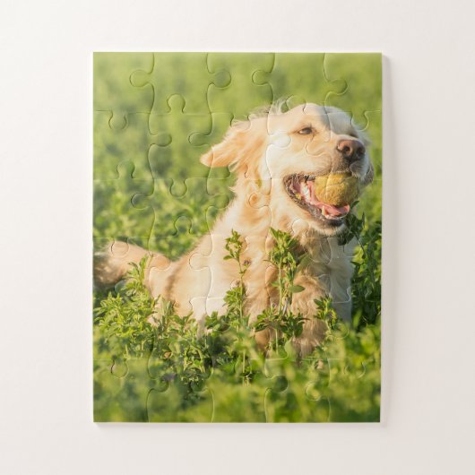 Golden Retriever mit Ball Puzzle (Vertikal)