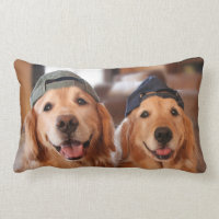Golden retriever mit Baseballmütze