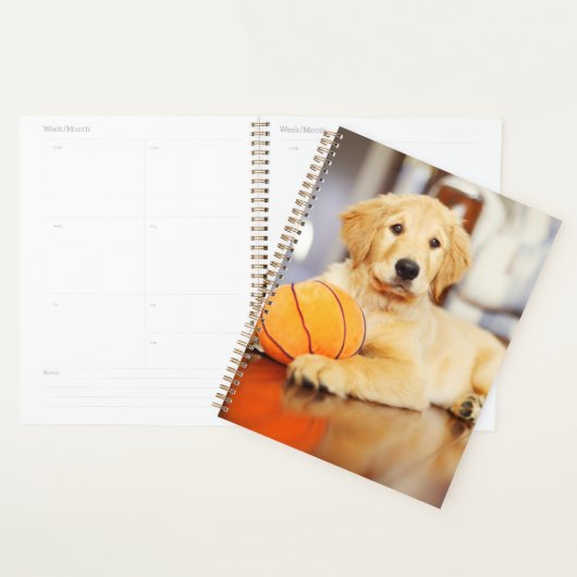 Golden Retriever mit Basketballspielzeug Planer (Anzeige)