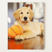 Golden Retriever mit Basketballspielzeug Planer (Rückseite)