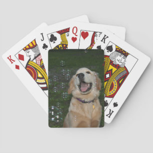 Golden retriever mit Blasen Spielkarten