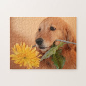 Golden Retriever mit Blume Jigsaw Puzzle (Horizontal)