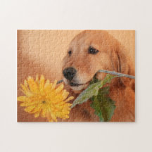 Golden Retriever mit Blume Jigsaw Puzzle