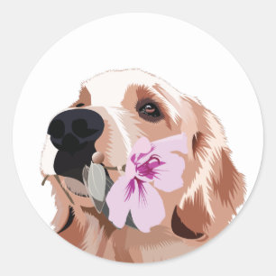 Golden Retriever mit Blume Runder Aufkleber