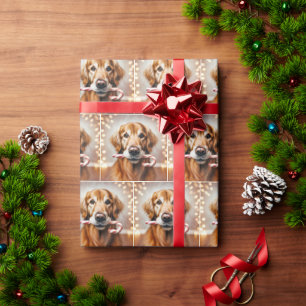 Golden Retriever mit Candy Cane Geschenkpapier