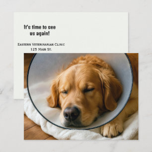 Golden Retriever mit einem Schamkegel Postkarte
