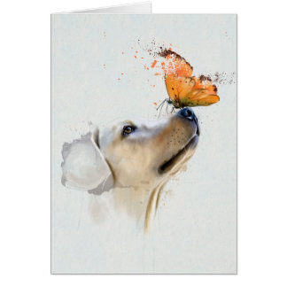 Golden retriever mit einem Schmetterling auf