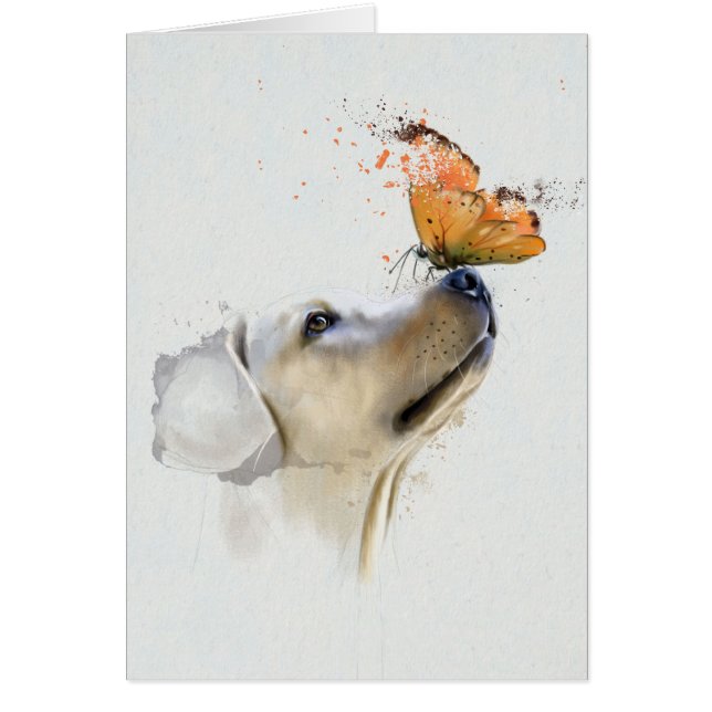 Golden retriever mit einem Schmetterling auf (Vorne)