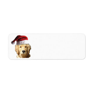 Golden Retriever mit einem Weihnachtshut