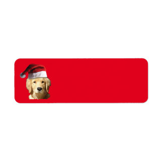 Golden Retriever mit einem Weihnachtshut