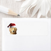 Golden Retriever mit einem Weihnachtshut (Insitu)