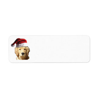 Golden Retriever mit einem Weihnachtshut