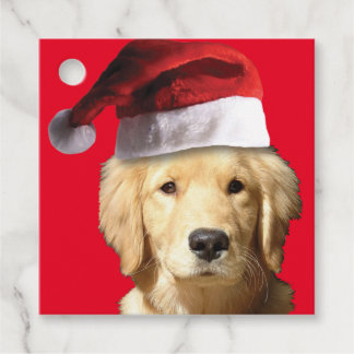 Golden Retriever mit einem Weihnachtshut Geschenkanhänger