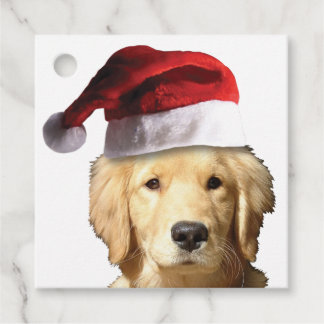 Golden Retriever mit einem Weihnachtshut Geschenkanhänger