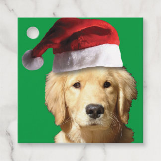 Golden Retriever mit einem Weihnachtshut Geschenkanhänger