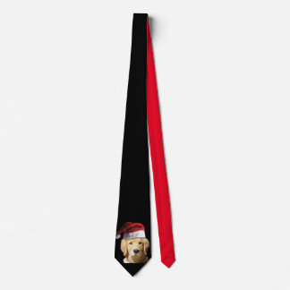 Golden Retriever mit einem Weihnachtshut Krawatte
