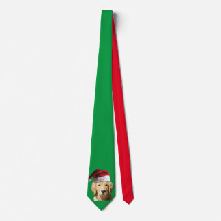 Golden Retriever mit einem Weihnachtshut Krawatte