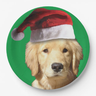 Golden Retriever mit einem Weihnachtshut Pappteller