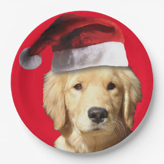 Golden Retriever mit einem Weihnachtshut Pappteller