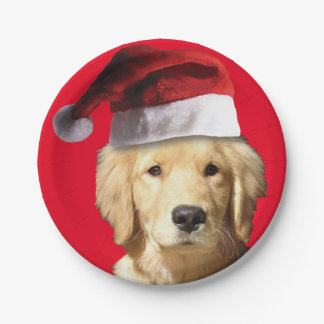 Golden Retriever mit einem Weihnachtshut Pappteller