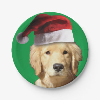 Golden Retriever mit einem Weihnachtshut Pappteller