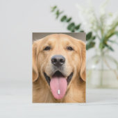 Golden Retriever mit einer Pille Postkarte (Stehend Vorderseite)