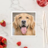 Golden Retriever mit einer Pille Serviette (Beispiel)