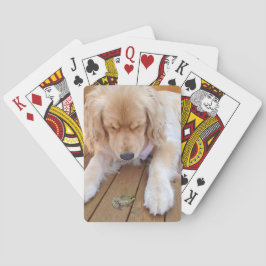 Golden Retriever mit Frosch Spielkarten