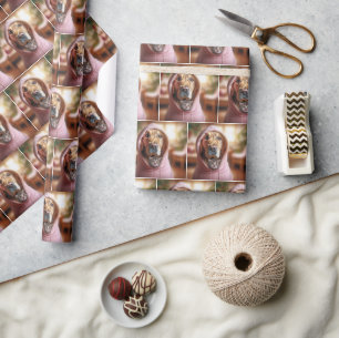 Golden Retriever mit getigertem Kätzchen Geschenkpapier