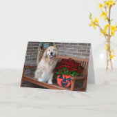 Golden Retriever mit Halloween Pumpkin Planter Karte (Gelbe Blume)