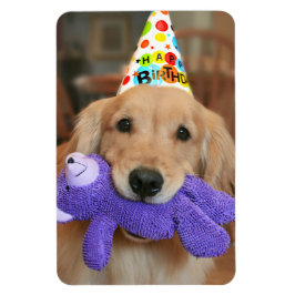 Golden Retriever mit Happy Birthday Hut und Spielz Magnet