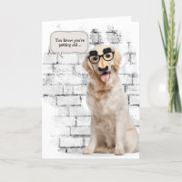 Golden Retriever mit lustiger Maske Geburtstag